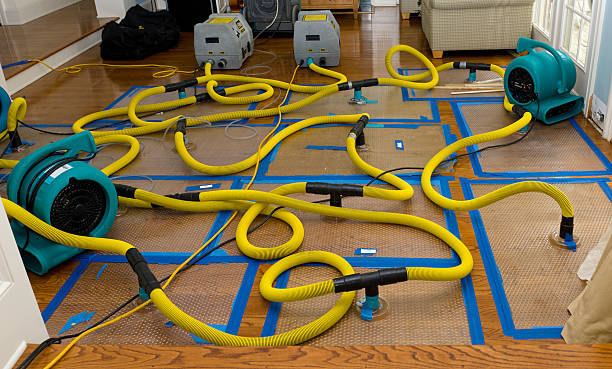 Professional Structural Drying And Dehumidification technician working in Sherman Oaks, CA